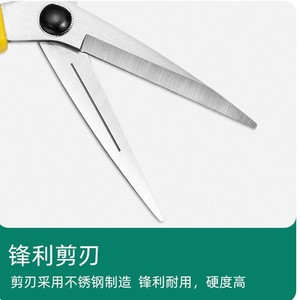 Sécatrices en acier inoxydable avec lames tranchantes et verrou de sécurité pour la taille des arbres fruitiers et l'utilisation en extérieur - Product Image 4