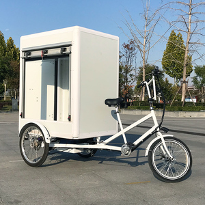 Vélo cargo électrique 500w avec moteur Mini <span class=keywords><strong>Van</strong></span> <span class=keywords><strong>Bike</strong></span> Cargo Trikes 3 roues Cargo <span class=keywords><strong>Bike</strong></span> à vendre - Product Image 4