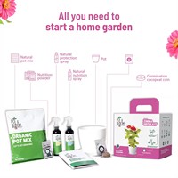 Kit de culture de fleurs de zinnia en boîte de conserve DIY, design ferme, pour plantes et fruits, fleurs artificielles pour jardin, maison, bureau ou sol