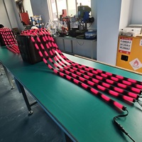 Tube lumineux néon LED RGB en silicone, flexible à 360°, étanche IP65, DC24V, longueur programmable 10m pour fêtes