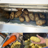 Machine à éplucher automatique pour le lavage des pommes de terre et des carottes éplucheuse d'oignons éplucheuse d'oignons