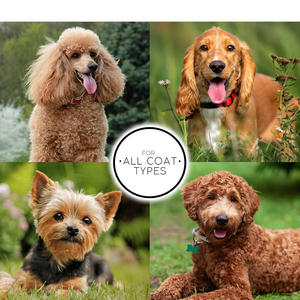 Brosse de toilettage pour chiens et animaux de compagnie en bois à picots longs, avec logo personnalisé, vente en gros directe usine - Product Image 2