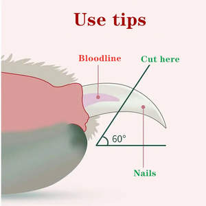 Işık ile ppet ppet evcil hayvan tırnak Clippers Llluminates kedi köpek çivi veya Bloodline güvenlik evcil hayvan tırnak <span class=keywords><strong>Clipper</strong></span> hiçbir tırnak yarma - Product Image 5