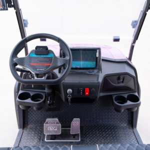 Carrito de Golf Eléctrico de 2 Plazas, Motor de CA de 60V 4KW, Alcance de 80KM, Neumáticos Todoterreno de 14 Pulgadas para Campos de Golf y Resorts, Soporte OEM ODM - Product Image 3