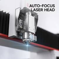 Machine de découpe laser à fibre CNC 2kW 4kW 3015 3000*1500mm pour acier au carbone et aluminium 1500 Watts