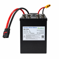 Batterie au lithium personnalisée 60V 32Ah 16S8P pour tracteur de pelouse électrique, véhicule utilitaire de jardin, entretien des propriétés