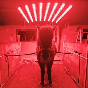 SINOCO PDT kırmızı kızılötesi ışıklı tedavi cihazı ışık overreach boot to kan şekerini düzenler yara iyileşmesi at ışık solaryum - Product Image 5