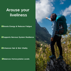 Tabletas de complejo de vitamina <span class=keywords><strong>B</strong></span> OEM | Mezcla personalizada con biotina y ácido fólico - Product Image 2