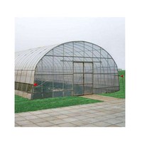 Serre tunnel monocouche pour légumes, structure en acier galvanisé à chaud avec couverture en feuille plastique durable pour l'agriculture