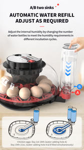 Вонегг M12H инкубатор для куриных яиц полностью автоматический инкубатор для инкубатора - Product Image 4