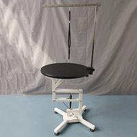 Table de toilettage hydraulique professionnelle pour animaux de compagnie, hauteur réglable, station de toilettage pour chiens avec surface antidérapante et bras de toilettage