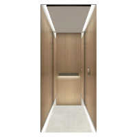 Ascenseurs de villa en acier inoxydable de la série Premium, système de contrôle intelligent 220V. Capacité personnalisable de 400 kg pour 2-3 personnes