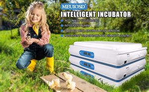 Incubateur à œufs professionnel de grande taille à <span class=keywords><strong>prix</strong></span> avantageux, pour poulets, oies, cailles, éclosion <span class=keywords><strong>d</strong></span>'œufs - Product Image 3