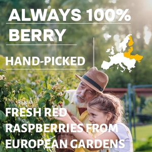 Натуральный органический сублимированный порошок из красной малины, порошок из сока красной малины - Product Image 5