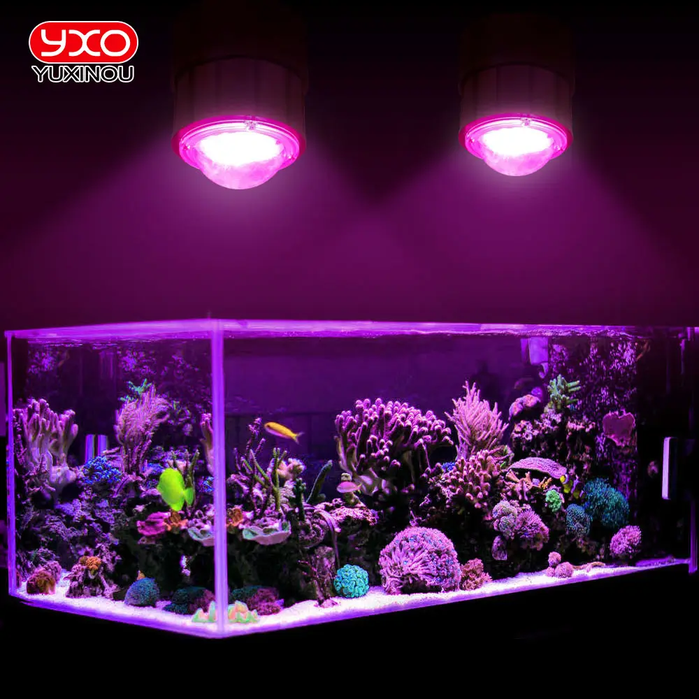 Aquarium Led Verlichting Wit Blauw Volledig Spectrum Aquarium Licht Waterdicht Ip65 Ac110 V 220V 200W Aquarium Licht Met Pc Cover