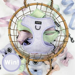 أفضل بائع قابل للتعديل لا سحب الحيوانات الأليفة تسخير الكلب مجموعة تصميم فاخر مخصص الكلب تبيد تسخير - Product Image 2