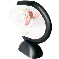 Modèle du système reproducteur féminin, modèle d'utérus transparent, modèle anatomique féminin
