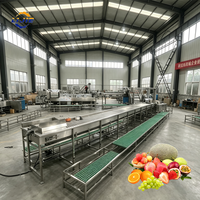 Voedselveilige 304 roestvrijstalen fruitwasmachine met belletjesreiniging voor de landbouwfruitverwerking