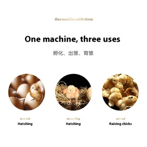 Nouvel incubateur entièrement <span class=keywords><strong>automatique</strong></span> Mini 24 œufs Machine à couver incubateur d'œufs de poule à usage domestique - Product Image 4