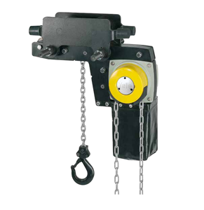 1100LBS-22000LBS Yalelift 360 LH <span class=keywords><strong>Polipasto</strong></span> de cadena manual Construcción 500KG 1 Ton 2 Ton 3 Ton 5 Ton 10 Ton 20 Ton 50 Ton para elevación - Product Image 1