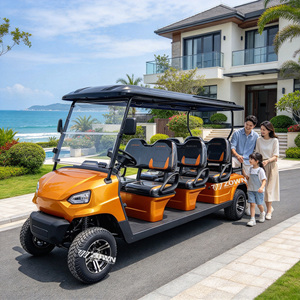 Carrito de Golf Eléctrico Económico ZOWN de 2 Plazas, Bajo Ruido, Cero Emisiones, para Transporte Privado en Campos de Golf - Product Image 2