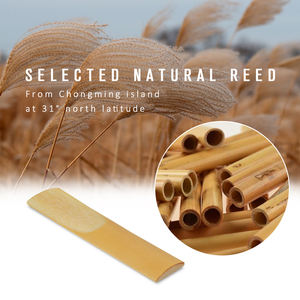 NAOMI Anches de <span class=keywords><strong>saxophone</strong></span> Force 2.0 <span class=keywords><strong>Alto</strong></span> BE Anches de <span class=keywords><strong>saxophone</strong></span> Accessoires d'instruments à vent Lade NS-04 - Product Image 2