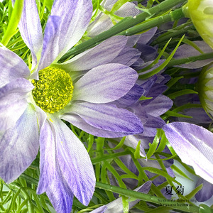 Flores Artificiales de Crisantemo de Verano Simuladas de 65 cm, Realistas, de Plástico, para Decoración de Bodas, Accesorios de Fotografía, Decoración del Hogar - Product Image 3