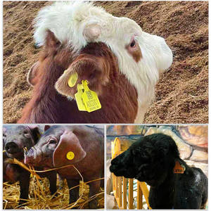 RFID豚/牛/ヤギ動物耳タグアガー羊識別マーカーカスタマイズ可能なロゴ番号家畜牛 - Product Image 2