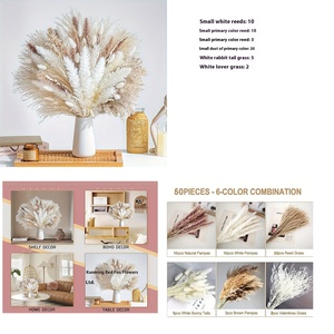 Yunnan Naturel Queue De Lapin Herbe <span class=keywords><strong>Bouquet</strong></span> De <span class=keywords><strong>Fleurs</strong></span> <span class=keywords><strong>Séchées</strong></span> De Noël pour <span class=keywords><strong>Amazon</strong></span> Transfrontalier Fini Vraie Fleur pour La Maison En Gros - Product Image 6