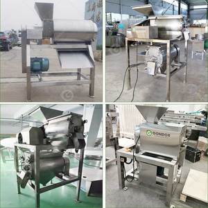 Xoài nhỏ đào nước trái cây bột giấy hạt giống Remover quá trình máy nghiền bột despulpadora de frutas extractor - Product Image 3