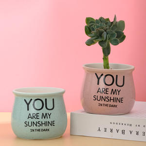 Pots de jardinières succulentes Cactus en céramique, décor de bureau, lettres personnalisées d'intérieur, Pots avec trou - Product Image 2