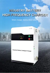 Intelligent Automatic Repair Quick Charger 48V 6kw 10kw 18kw 20KW 30kw EV Car Forklift Truck Battery Charger