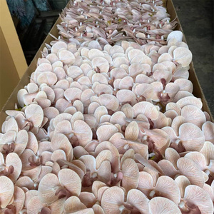 Gog660 Lớn Hoa Lan Trắng Cao Su Lụa Hoa Lan Nhân Tạo Hoa Cây Cây Địa Điểm Cưới Trang Trí Hoa Lụa - Product Image 3