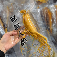 Racine de ginseng Panax de qualité supérieure pour infusion de vin/liqueur, ginseng entier séché, idéal pour la fabrication de vin tonique maison au ginseng