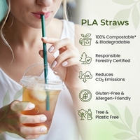 Assortiment biodégradable écologique paille de bagasse de canne à sucre jetable multicolore pour les boissons