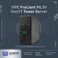 全新 HPE ProLiant ML30 Gen11 塔式服务器 Intel Xeon E2400 16GB DDR5 4LFF 热插拔小型企业 SME 办公存储服务器