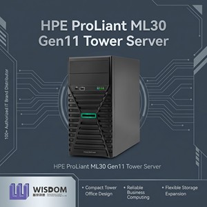 Nouveau serveur tour HPE ProLiant ML30 Gen11, Intel Xeon E2400, 16 Go DDR5, 4 baies LFF, Hot Plug, pour petites entreprises et bureaux, serveur de stockage - Product Image 1