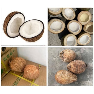 Peralatan pengolahan kelapa segar komersial mesin pemotong setengah kelapa hijau otomatis sepenuhnya - Product Image 3