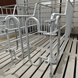 Système d'alimentation automatique pour porcelets, <span class=keywords><strong>lit</strong></span> <span class=keywords><strong>de</strong></span> maternité robuste pour porcs, enclos <span class=keywords><strong>de</strong></span> nurserie pour élevages – Solution complète - Product Image 6