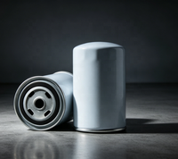Nouveau filtre à carburant pour moteur à injection Common Rail SRY (Modèle compatible SINOTRUK SRY-2000401) – Dure 100 000 kilomètres – Pièce de rechange