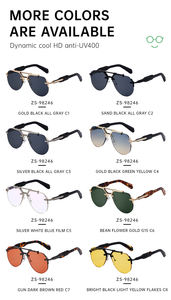 Lunettes de soleil Partagas pour hommes, style punk, semi-cerclées, double pont, protection UV400, avec logo personnalisé, pour la vente en gros - Product Image 5