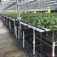 Système hydroponique vertical de culture de fraises commerciales 2023, canal NFT, à vendre