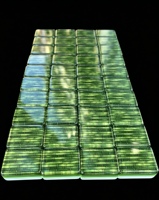 En stock : Ensemble de Mahjong américain en acrylique vert texturé bambou, 160 tuiles, motif floral, kit de jeu de luxe, cadeau de fêtes