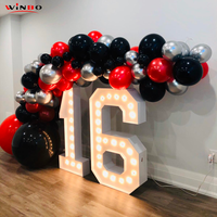 Lumières LED numériques Winbo, fabricant de numéros lumineux, lumières d'anniversaire personnalisées, lettres LED néon personnalisées, enseignes