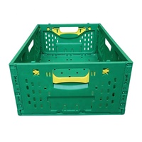 Boîte de rangement pliable JOIN en plastique, style maille, pour légumes, caisses en plastique pliables, conteneur repliable