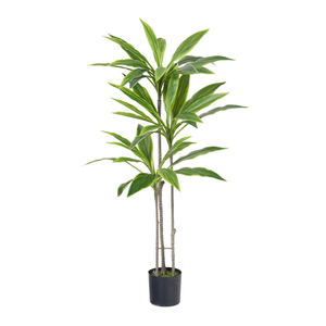 Planta Artificial de Cordyline Fruticosa en Maceta, para Decoración de Interiores, Oficina, Jardín y Hogar, Árbol Artificial - Product Image 3