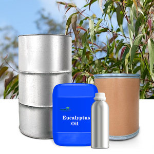 Aceites Esenciales de <span class=keywords><strong>Eucalipto</strong></span> Globulus Labill 100% Naturales de la Más Alta Calidad para Bebidas, Vino y Jarabes, Suministro de Fábrica - Product Image 6