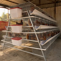 Cage à poules pondeuses à 4 niveaux de type A, installée en Zambie, avec poulailler pour l'Afrique