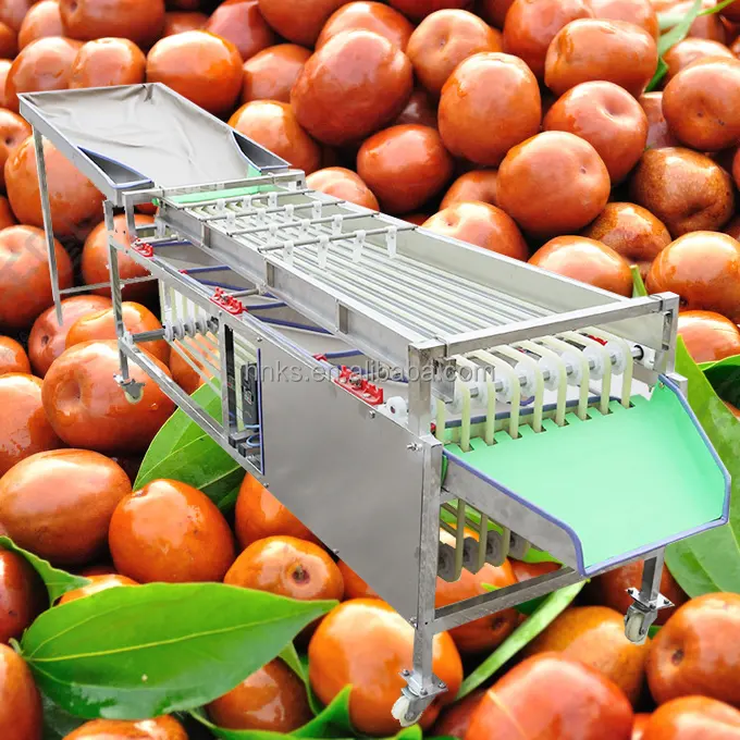 Линия для обработки вишни/оливок/даты, цена, сортировочная машина для фруктов и овощей, сортировщик фруктов