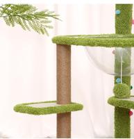 Arbre à chat multi-niveaux en forme d'arbre vert avec lit capsule transparent et poteaux à gratter en sisal – Arbre à chat interactif